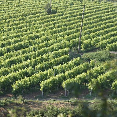 Apartmani Dienes Novi Vinodolski Zewnętrze zdjęcie